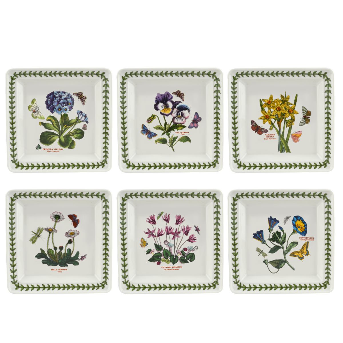 Botanic Garden 7 Inch Square Plate Set of 6 (Assorted Motifs) image number null